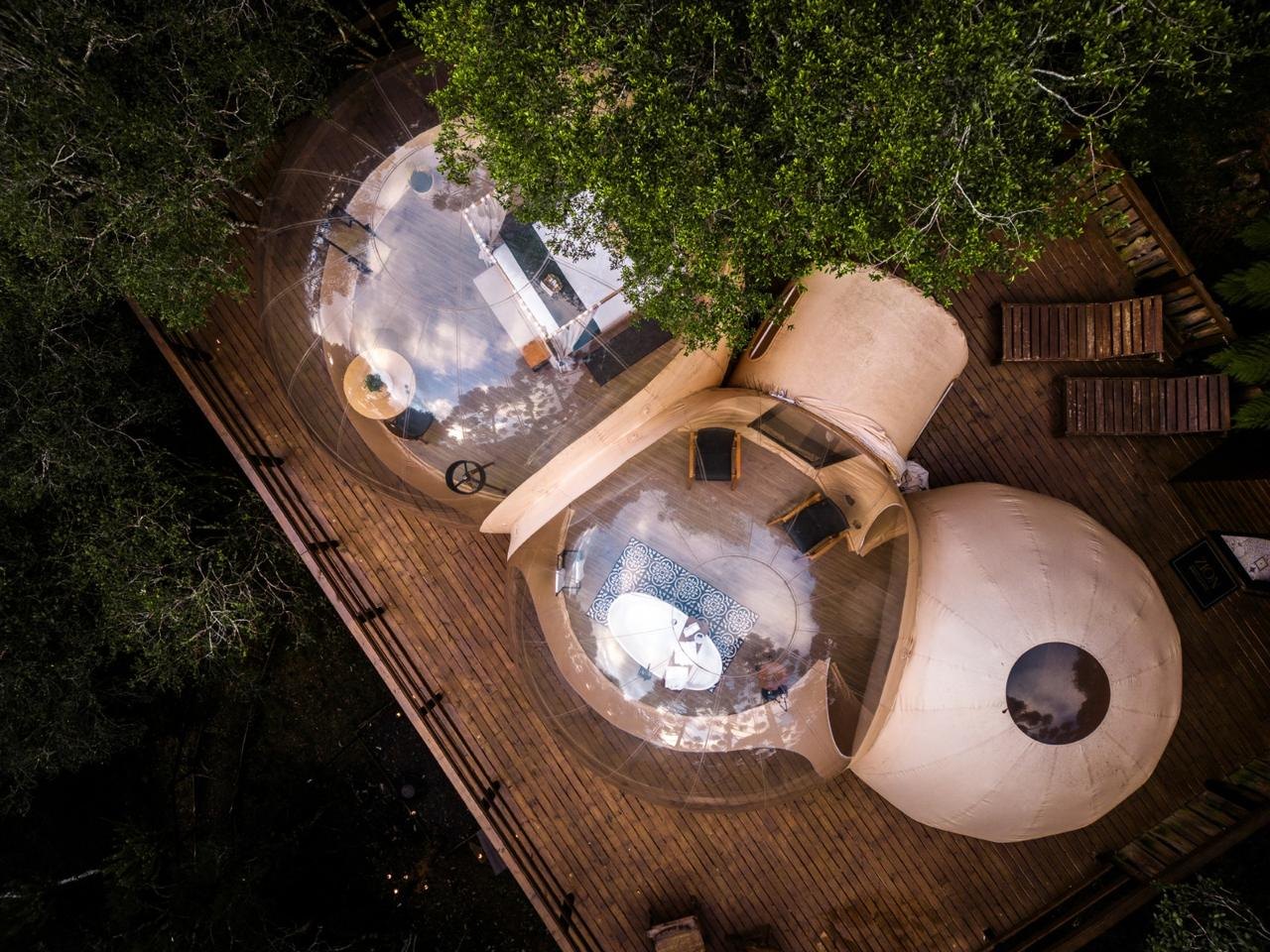 Vista aérea de duas unidades bubble Zion integradas ao deck, cercadas pela mata de araucárias